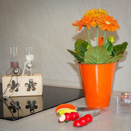 En Attique - Residence Le Ronsard Selestat Bagian luar foto