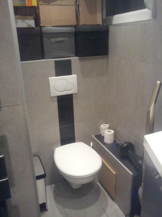En Attique - Residence Le Ronsard Selestat Bagian luar foto